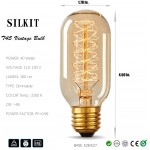 T45 Vintage Edison Light Bulb 40 Watt Dimmable Incandescent Old Fashioned Light Bulb E26 Base Antique Style Amber Tube Warm Decorative Lamp 6 Pack