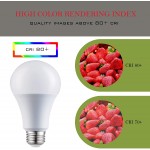 Laborate Lighting A19 LED Light Bulbs E26 Base 9W 800 Lumens Cool White 4000K Illumination Energy Saving Outdoor & Indoor Home Commercial Lighting 80+ CRI 10-Year Life 4-Pack