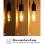 LED Edison Bulbs 60 Watt Equivalent Dimmable Warm White 2700K ST21 Vintage Filament Light Bulb E26 Medium Base 4 Pack