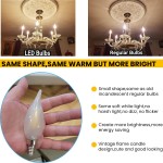 LED Frosted Candelabra Light Bulbs,AMDTU 40 watt Type B Light Bulbs Soft White 2700k,E12 Candle Base,Dimmable for Dining Room,Light Fixture,Ceiling Fan,Room Chandelier,6 Pack