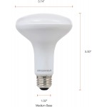 SYLVANIA LED Flood BR30 Light Bulb 65W=9W 10 Year Medium Base 650 Lumens Dimmable 5000K Daylight 2 Pack 73956