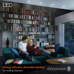 SYLVANIA LED Flood PAR38 Light Bulb 90W Equivalent Efficient 13W 10 Year 1175 Lumens Medium Base Dimmable 5000K Daylight 2 Pack 79736
