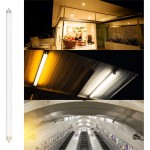 16W F16T4 17 Inch Fluorescent Light Bulb Replacement for Furnlite FC 952 T4 by Lumenivo Easy to Install with A G5 Mini Bi-pin Base 8,000 Hours 3000K Warm White 860 Lumens
