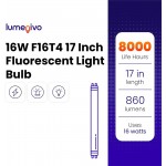 16W F16T4 17 Inch Fluorescent Light Bulb Replacement for Furnlite FC 952 T4 by Lumenivo Easy to Install with A G5 Mini Bi-pin Base 8,000 Hours 3000K Warm White 860 Lumens