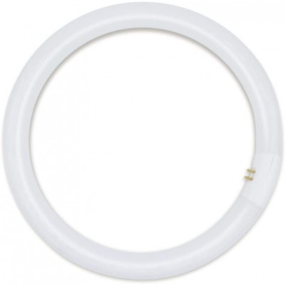 FC12T9 32W Circline Bulb Replacement for GE FC12T9 KB by Technical Precision 12 Inch Fluorescent Circular Light Bulb with 4-Pin G10q-4 Base 15000 Hours 3000K Warm White 1950 Lumens CRI 52