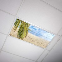 Octo Lights Fluorescent Light Covers for Classroom Office Eliminate Harsh Glare Causing Eyestrain and Headaches. Office & Classroom Decorations Beach 004