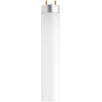 Satco S8428 48-Inch 4100K 32-Watt Medium Bi Pin T8 Instant Rapid Start High Lumen Lamp Cool White