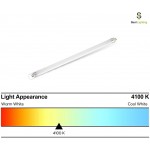 Sterl Lighting Pack of 2 T12 Straight Fluorescent Tubes Light Bulb F20T12 CW with 17.20 Inch 20 Watt 120 Volt Bi-Pin Base G13 1300 Lumen Cool White 4100K 8000 Life Hours F20T12 Replacement