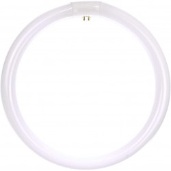 Sunlite 41315-SU FC12T9 CW Circline Fluorescent Lamps 12-Inch Size 32 Watts 2100 Lumens 4-Pin Base G10q 10,000 Life Hours 1 Count Pack of 1 41K-Cool White