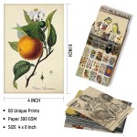 60PCS Vintage Posters for Room Aesthetic Vintage Botanical Illustration Tarot Aesthetic Pictures Wall Collage Kit Bedroom Decor for Teens Boys Girls Room Decor Aesthetic Cottagecore Decor