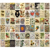 60PCS Vintage Posters for Room Aesthetic Vintage Botanical Illustration Tarot Aesthetic Pictures Wall Collage Kit Bedroom Decor for Teens Boys Girls Room Decor Aesthetic Cottagecore Decor