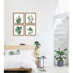 ArtbyHannah 10x10 Inch 4 Panels Botanical Framed Walnut Finish Picture Frame Collage Set for Wall Art Décor with Watercolor Green Leaf Tropical Plant Square Frame for Gallery Wall Kit or Home Decoration