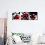 NAN Wind Canvas Print 3 Pcs Black and White Red Rose Canvas Art Painting Abstract Red Wall Art Decorations Room Decor Flower Picture on Canvas for Home Decor Stretched and Framed