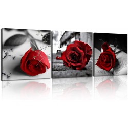 NAN Wind Canvas Print 3 Pcs Black and White Red Rose Canvas Art Painting Abstract Red Wall Art Decorations Room Decor Flower Picture on Canvas for Home Decor Stretched and Framed