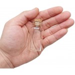 20 mL Cork Stopper Glass Bottles Mini Transparent Glass Bottles 20 Pcs