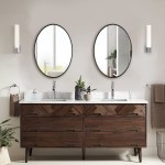 ANDY STAR Black Oval Mirror Bathroom Mirror 20x28” with Stainless Steel Metal Frame 2” Depth Wall Mounted Mirror Modern Design Hangs Vertical or Horizontal