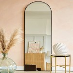 NeuType Arched Full Length Mirror Standing Hanging or Leaning Against Wall Oversized Large Bedroom Mirror Floor Mirror Dressing Mirror Aluminum Alloy Thin Frame Black 65"x22"