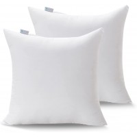 Acanva Decorative Throw Pillow Inserts for Sofa Bed Couch and Chair 20" L x 20" W White 2 Pack