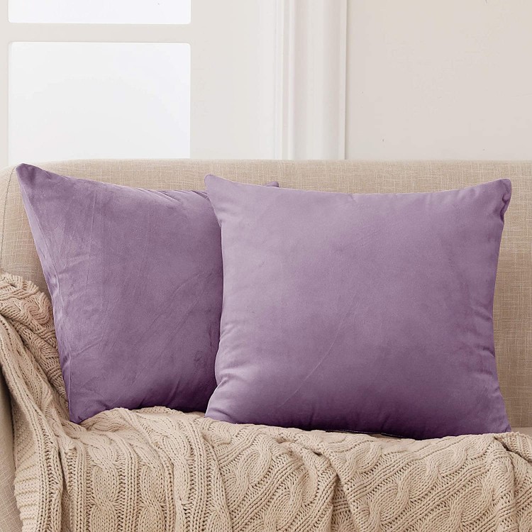 Deconovo Decorative Velvet Throw Pillow Covers for Home Sofa 18x18 in 2 Pcs Lilac