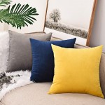 Eanpet Velvet Purple Throw Pillow Covers 18 x 18 Set of 4 Decorative Square Pillow Cases Soft Solid Cushion Covers for Couch Sofa Bedroom Car Home Decor