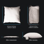 Edow Throw Pillow Insert Set of 2 Down Alternative Polyester Square Form Decorative Pillow Cushion,Sham Stuffer. White 18x18