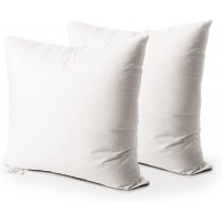 Edow Throw Pillow Insert Set of 2 Down Alternative Polyester Square Form Decorative Pillow Cushion,Sham Stuffer. White 18x18