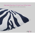 Fabritones Outdoor Decorative Pillows with Insert 18x18 Inch Square Navy Zebra Pattern Patio Throw Pillows for Couch Bed Sofa Patio Furniture