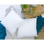 Foamily Throw Pillows Insert Set of 4-20 x 20 Insert for Decorative Pillow Covers Made in USA Bed and Couch Pillows