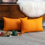 Lipo Chenille Pillow Covers 12x20 Set of 2 Throw Pillow Covers Decorative Lumbarlumbar Soft Cushion Case Home Decorfor Couch Bed Sofa Bedroom Car Orange 12X20 Inch