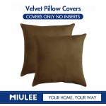 MIULEE Pack of 2 Velvet Soft Solid Decorative Square Throw Pillow Covers Set Cushion Case for Sofa Bedroom Car 18 x 18 Inch 45 x 45 cm