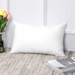 OTOSTAR Outdoor Throw Pillow Inserts Pack of 2 Water Resistant Cushion Inner Pads for Patio Garden Coffee House Decorative Waterproof Pillow Inserts 12x20 Inch -White