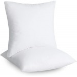 Utopia Bedding Throw Pillows Insert Pack of 2 White 18 x 18 Inches Bed and Couch Pillows Indoor Decorative Pillows