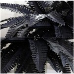 Artificial Black Persian Fern Leaf Plant Fake and Realistic Plastic Wedding Shop Background Decoration 4 Packs