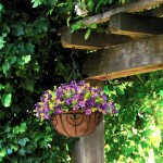 Artificial Hanging Flowers in Basket Outdoor Indoor Patio Lawn Garden Decor Hanging Daisy Basket with 12inch Coconut Lining Chain Flowerpot Dark Purple