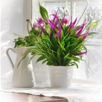 Artificial Outdoor Plants Flowers 8pcs Faux Plastic Plant Fake Flower UV Resistant Plants Red Setaria
