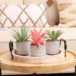 Artificial Plants in Pot Set of 3 Faux Succulents Plants in Ceramic Pots with Bohemian Style Fake Potted Plants with Pots for Indoor Home Office Desk Plants Boho Farmhouse Style Decoration 3 Packs