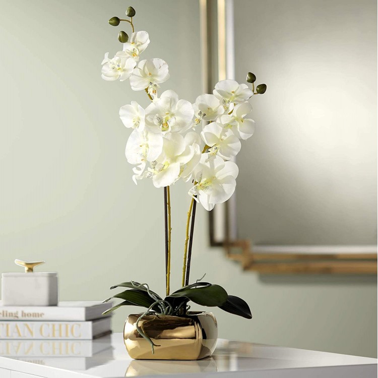Dahlia Studios Potted Silk Faux Artificial Flowers Realistic White Phalaenopsis Orchid Greenery in Gold Ceramic Pot for Home Decoration Living Room Office Bedroom Bathroom Kitchen 22" High