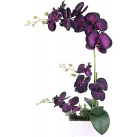 Faux Orchid Artificial Flowers Artificial Orchids for Home Decor Indoor Flowers,11 Head Silk Orchids Black