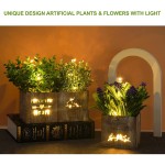 Kinkota Artificial Plants & Flowers with Lights in Wooden Box Potted Fake Faux Plants Eucalyptus for Home Decor Indoor Greenery Tabletop Centerpieces for Office Room Decoration 3 Pack Original