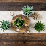 Kurrajong Farmhouse Artificial Succulent Plant 7.5" x 4.5" | Beautiful Faux Plant for Home Decor Indoor | Realistic Artificial Plants | Fake Plants for Desk Decor | Fake Succulent in Pot