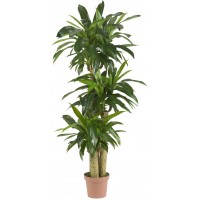 Nearly Natural 6584 57in. Corn Stalk Dracaena Silk Plant Real Touch 62.5" x 9" x 9" Green