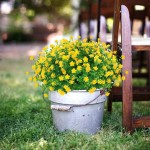 TEMCHY Artificial Flowers Fake Outdoor UV Resistant Boxwood Shrubs Faux Plastic Greenery Plants for Outside Hanging Planter Patio Yard Wedding Indoor Home Kitchen Farmhouse DecorYellow