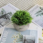 THE BLOOM TIMES 2 Pcs Fake Plants for Bathroom Home Office Decor Small Artificial Faux Greenery for House Decorations Potted Plants