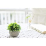 THE BLOOM TIMES 2 Pcs Fake Plants for Bathroom Home Office Decor Small Artificial Faux Greenery for House Decorations Potted Plants