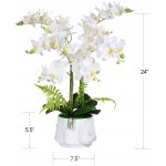 W&W Artificial Orchid Plants and Flowers with Vase Fake Faux Silk Orchid in Ceramic Pot 24'' White