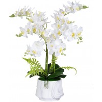 W&W Artificial Orchid Plants and Flowers with Vase Fake Faux Silk Orchid in Ceramic Pot 24'' White