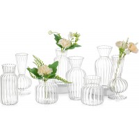 8Pcs  Set Small Vase Different Geometric Stripe Shape Bud Vases in Bulk Simplicity Clear Cute Mini Flower Vases Glass Narrow Neck for Home Centerpieces Table Decor