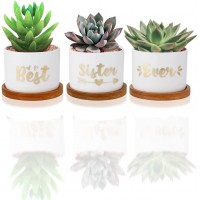 Best Sister Ever Succulent Pots Birthday Gifts for Sister Lovely Mothers Day for Sister Sister in Law Best Friend Unique Pots Gift Ideas Small Best Sister Ever