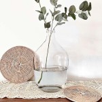 BUICCE Clear Large Glass Vases Balloon Jug Floor Flowers Round Vase for Farmhouse Tabletop Centerpiece Decorative.… L