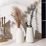 Chaumiere Set of 2- Classic White Ceramic Vases Tall vases for Flowers for Living Room Decorations Home Decor Modern Farmhouses Ideal Shelf Table Bookshelf Mantle Pampas Grass